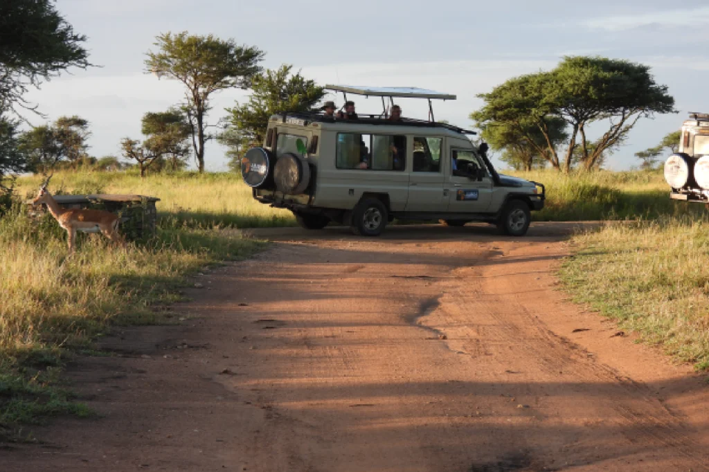 Tanzania safari tips