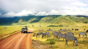uganda vs tanzania