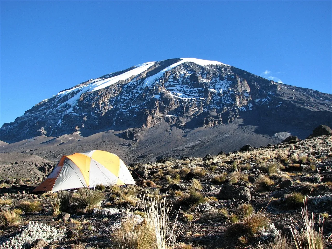 Rongai Route Kilimanjaro 7 Day 1 Kilimanjaro group
