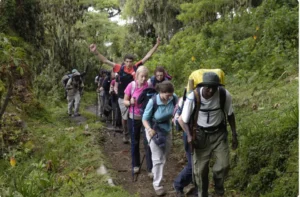 How long is the kilimanjaro safari?