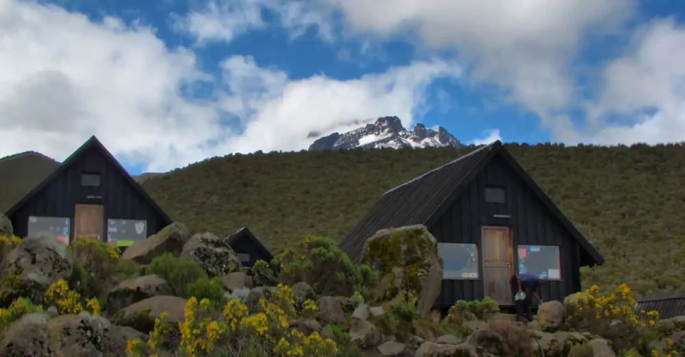 Marangu route kilimanjaro