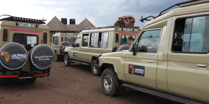 4-Day Mid-Range Safari in Tanzania