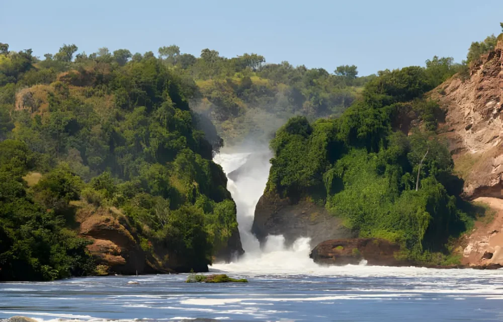 Uganda Tour Safari