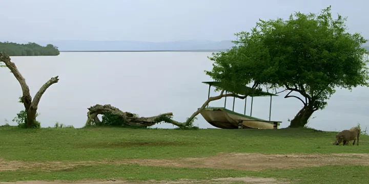 Tanzania Safari Luxury tour Lake Mburo