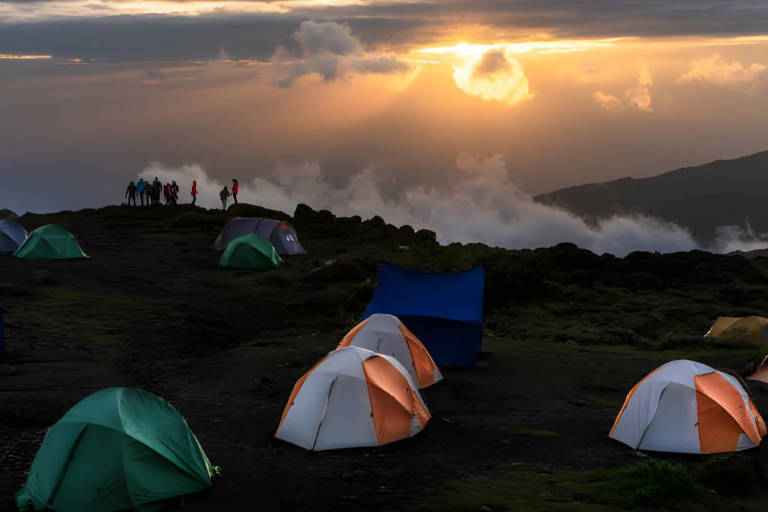 Kilimanjaro