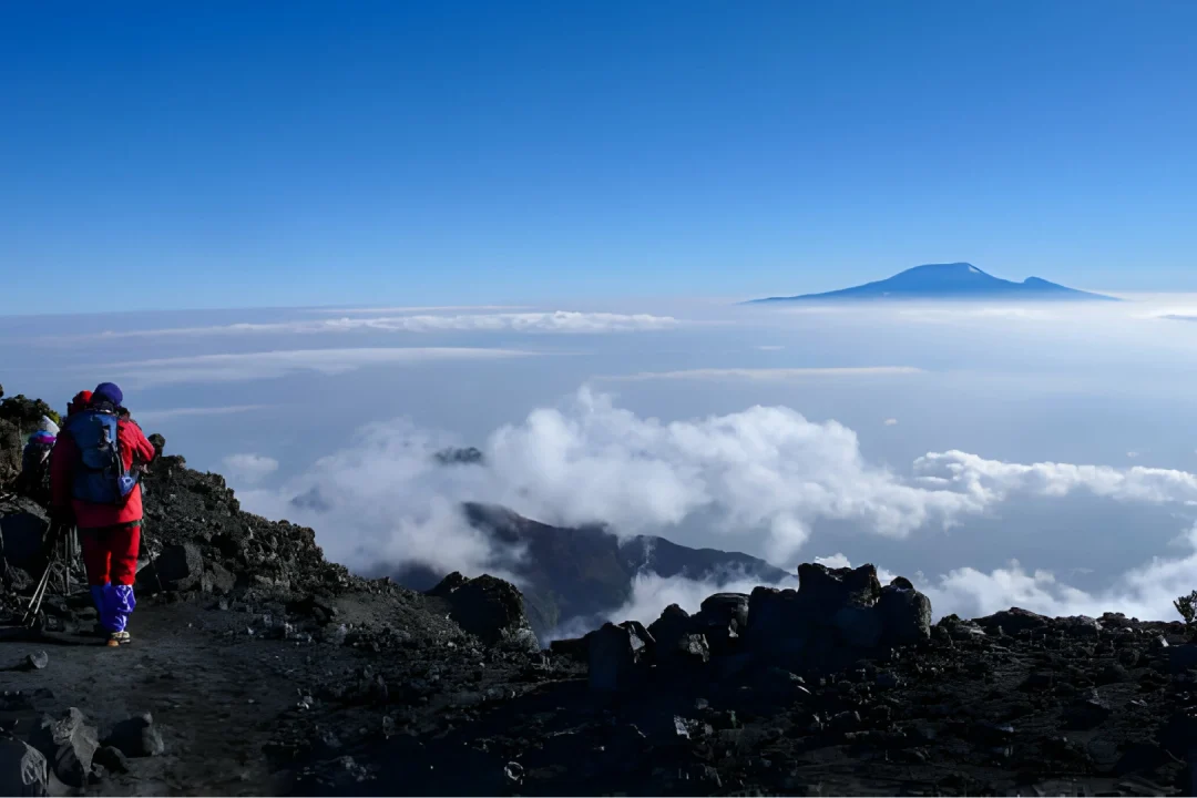 Kilimanjaro