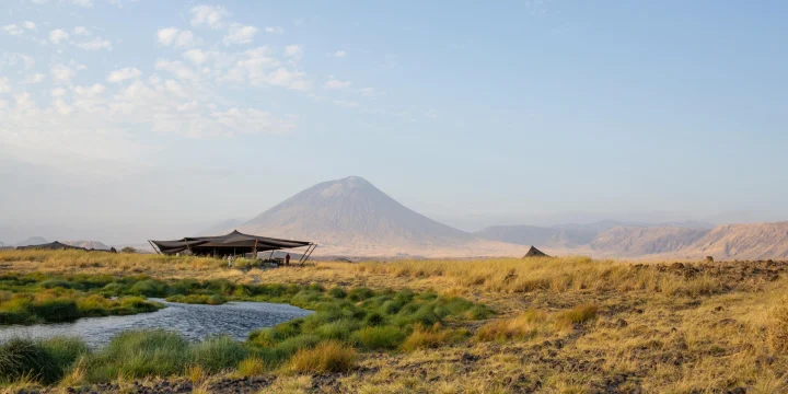 8-day luxury safari tour