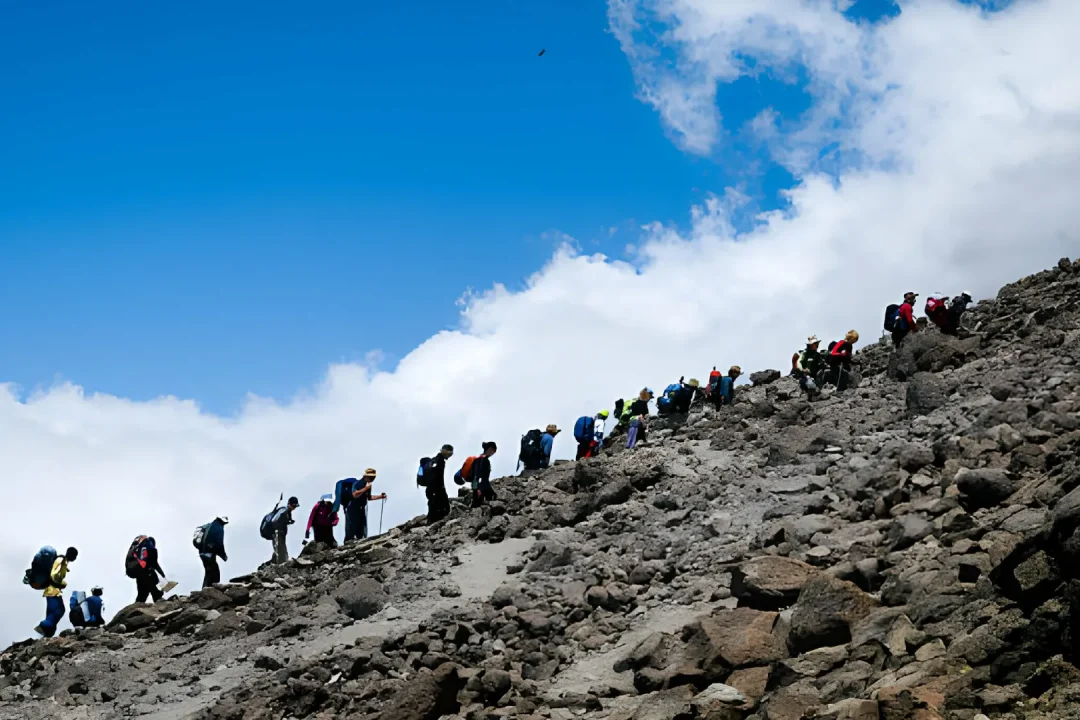 Kilimanjaro rongai route