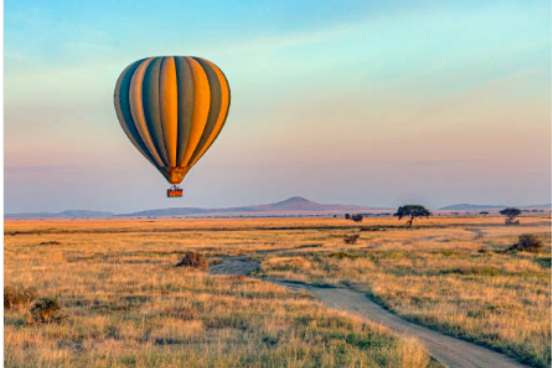 Hot air balloon